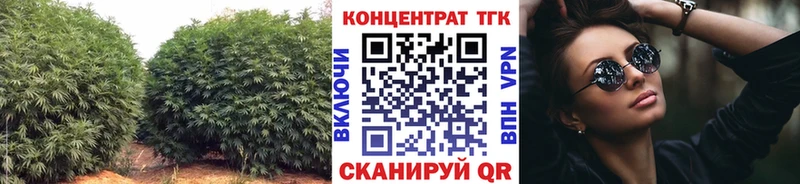 ТГК концентрат  Карабаново 