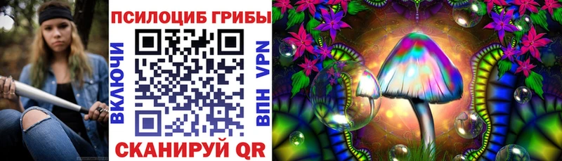 Галлюциногенные грибы Psilocybe  купить  сайты  блэк спрут ТОР  Карабаново 